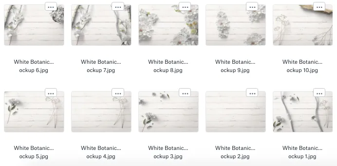 10 free styled stock images from the white botanical collection