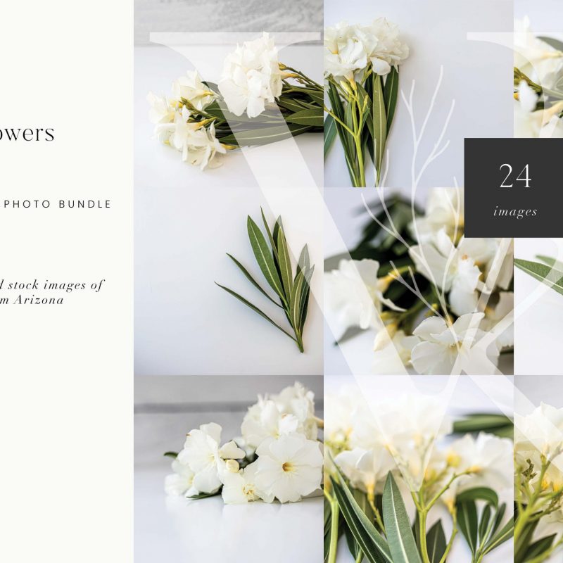 Shop Products - Kerrie Legend